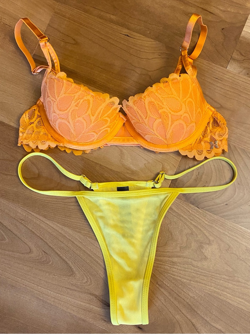 NWOT Salvage X & Gia X-Rated Bra & Thong Set